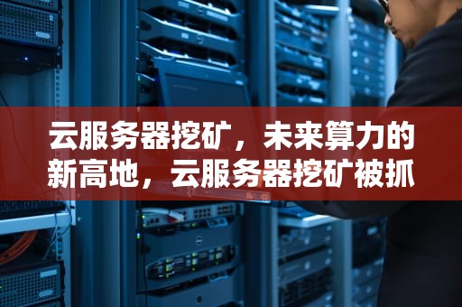 云服务器挖矿，未来算力的新高地，云服务器挖矿被抓