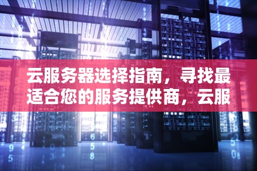 云服务器选择指南，寻找最适合您的服务提供商，云服务器哪家好用