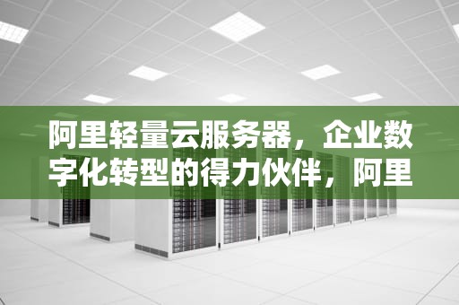 阿里轻量云服务器，企业数字化转型的得力伙伴，阿里轻量云服务器测评
