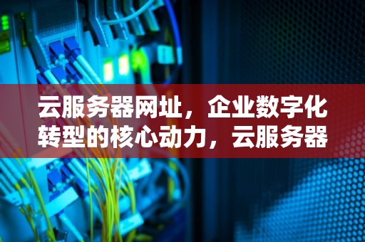 云服务器网址，企业数字化转型的核心动力，云服务器网址访问