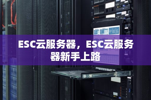 ESC云服务器，ESC云服务器新手上路