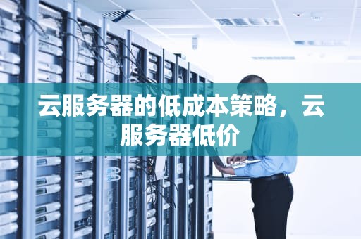 云服务器的低成本策略，云服务器低价