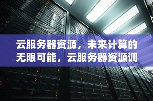 云服务器资源，未来计算的无限可能，云服务器资源调整方式不包括( )
