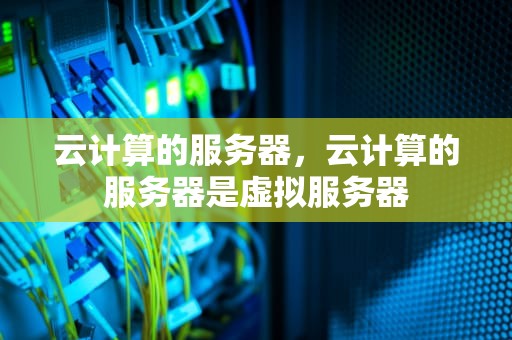 云计算的服务器，云计算的服务器是虚拟服务器