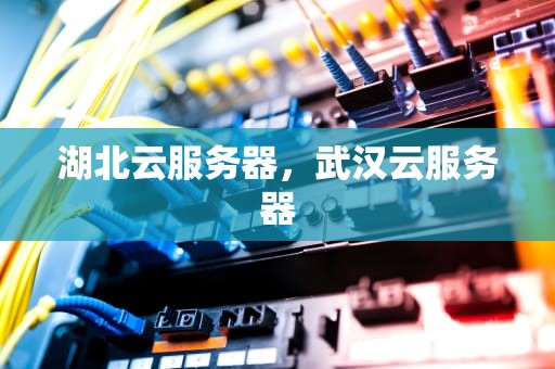 湖北云服务器，武汉云服务器