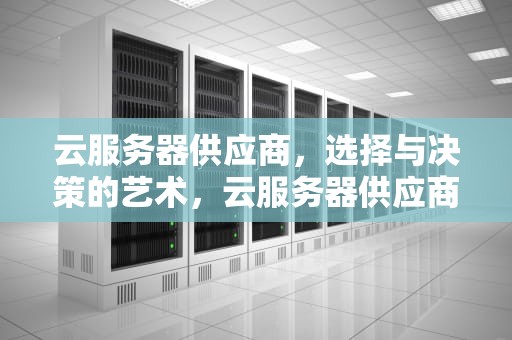 云服务器供应商，选择与决策的艺术，云服务器供应商排名