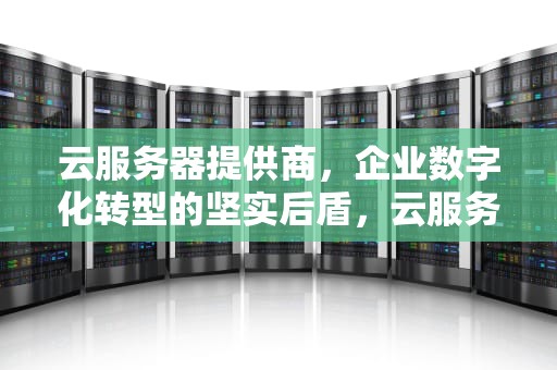 云服务器提供商，企业数字化转型的坚实后盾，云服务器提供商有哪些