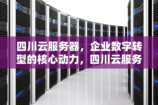四川云服务器，企业数字转型的核心动力，四川云服务器购买