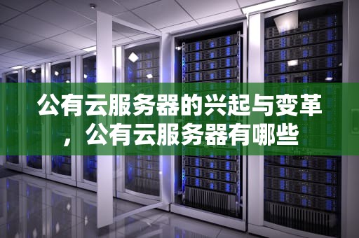 公有云服务器的兴起与变革，公有云服务器有哪些