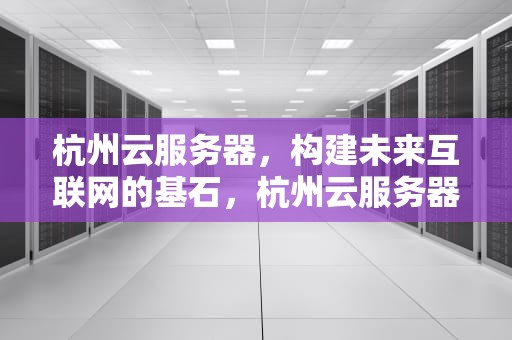 杭州云服务器，构建未来互联网的基石，杭州云服务器公司排名