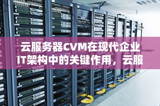 云服务器CVM在现代企业IT架构中的关键作用，云服务器cvm是什么意思