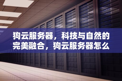 狗云服务器，科技与自然的完美融合，狗云服务器怎么样