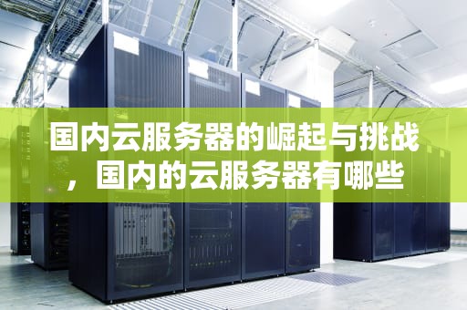 国内云服务器的崛起与挑战，国内的云服务器有哪些