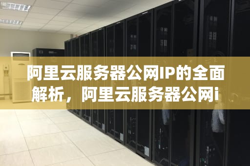 阿里云服务器公网IP的全面解析，阿里云服务器公网ip和私网ip
