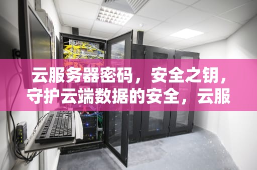 云服务器密码，安全之钥，守护云端数据的安全，云服务器密码机