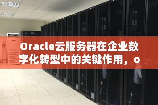 Oracle云服务器在企业数字化转型中的关键作用，oracle 云