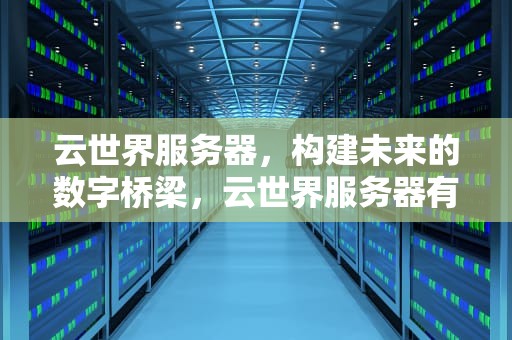 云世界服务器，构建未来的数字桥梁，云世界服务器有哪些