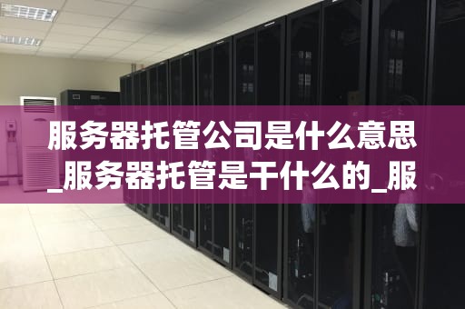 服务器托管公司是什么意思_服务器托管是干什么的_服务器托管公司及其重要性