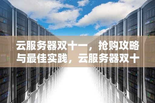 云服务器双十一，抢购攻略与最佳实践，云服务器双十一活动