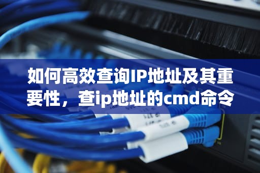如何高效查询IP地址及其重要性，查ip地址的cmd命令是什么