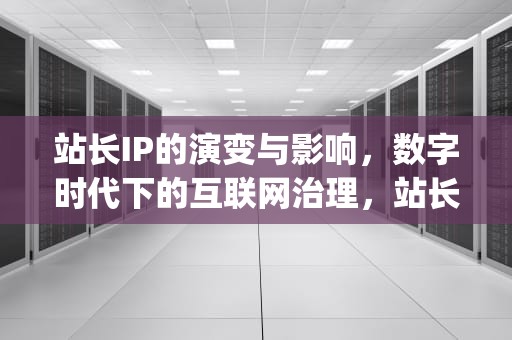 站长IP的演变与影响，数字时代下的互联网治理，站长ip查询