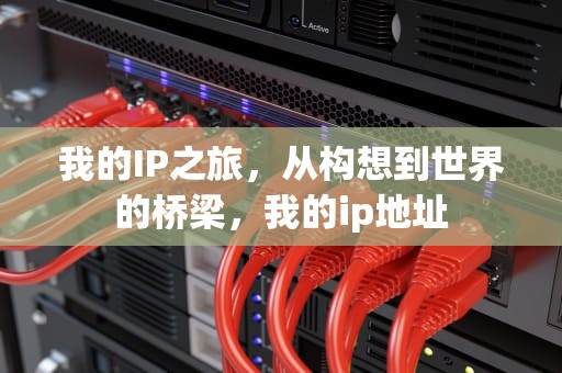 我的IP之旅，从构想到世界的桥梁，我的ip地址