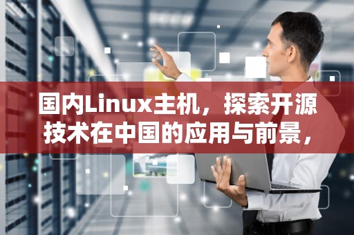 国内Linux主机，探索开源技术在中国的应用与前景，优质的国内linux主机