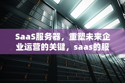 SaaS服务器，重塑未来企业运营的关键，saas的服务