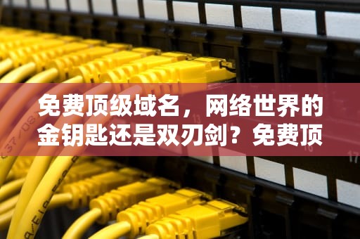 免费顶级域名，网络世界的金钥匙还是双刃剑？免费顶级域名申请网站