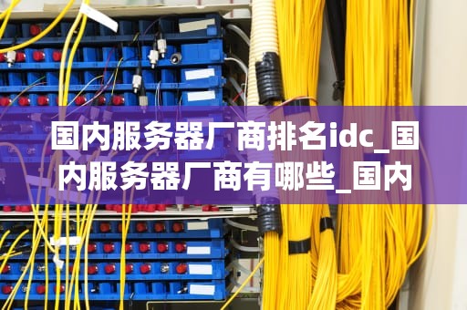 国内服务器厂商排名idc_国内服务器厂商有哪些_国内服务器厂商排名IDC的深度解析
