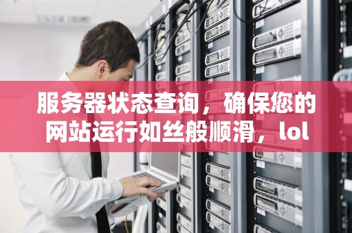 服务器状态查询，确保您的网站运行如丝般顺滑，lol服务器状态查询