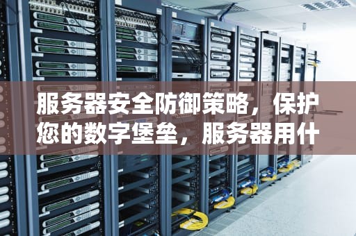 服务器安全防御策略，保护您的数字堡垒，服务器用什么防御系统