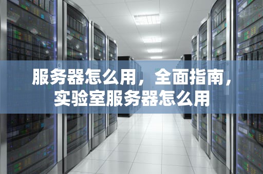 服务器怎么用，全面指南，实验室服务器怎么用
