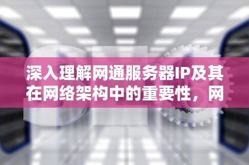 深入理解网通服务器IP及其在网络架构中的重要性，网通服务器在哪