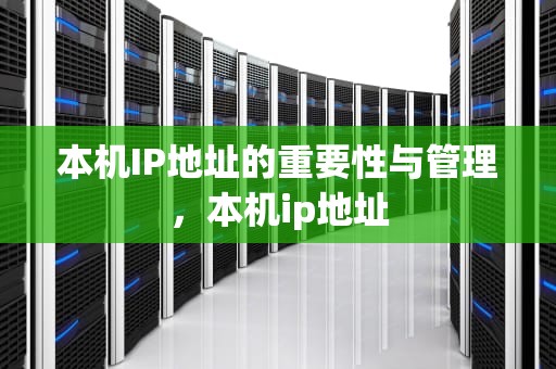 本机IP地址的重要性与管理，本机ip地址