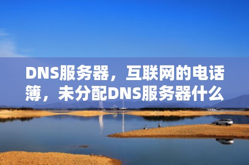 DNS服务器，互联网的电话簿，未分配DNS服务器什么意思
