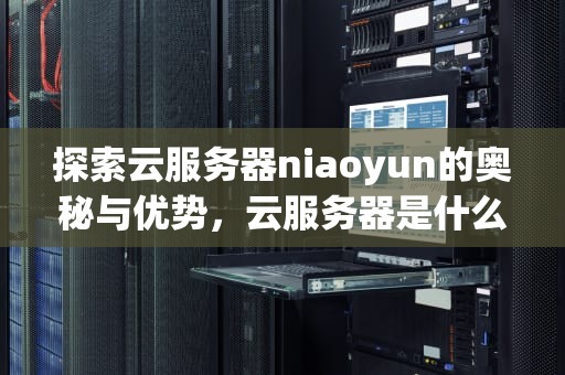 探索云服务器niaoyun的奥秘与优势，云服务器是什么