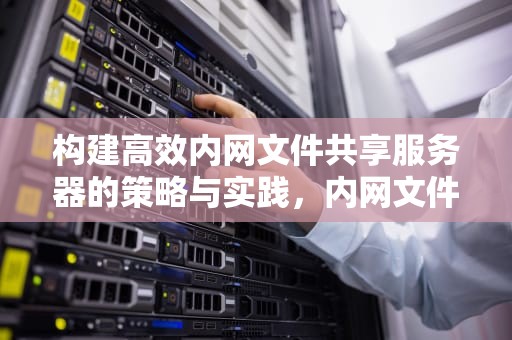 构建高效内网文件共享服务器的策略与实践，内网文件共享服务器怎么设置