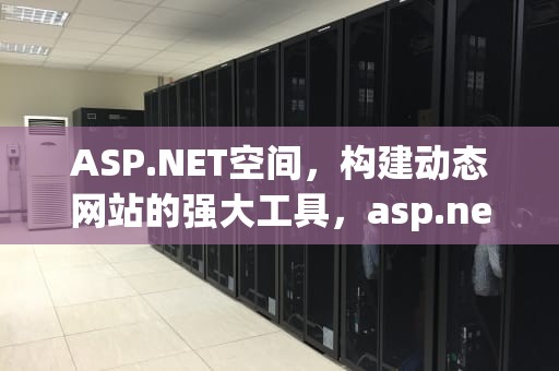 ASP.NET空间，构建动态网站的强大工具，asp.net apache