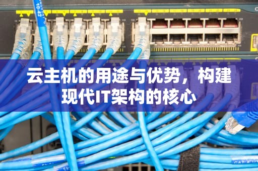 云主机的用途与优势，构建现代IT架构的核心