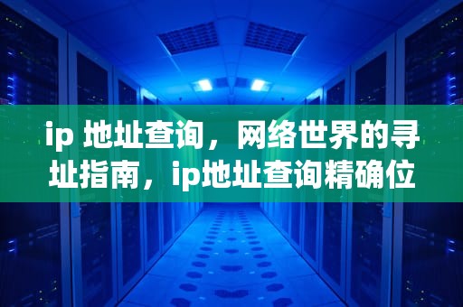 ip 地址查询，网络世界的寻址指南，ip地址查询精确位置