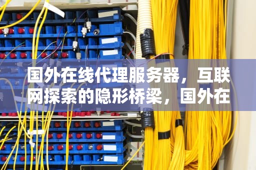 国外在线代理服务器，互联网探索的隐形桥梁，国外在线代理服务器免费网页版