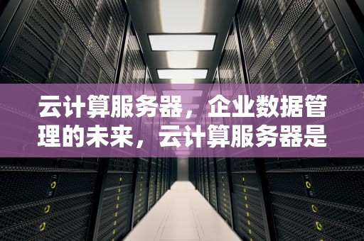 云计算服务器，企业数据管理的未来，云计算服务器是什么意思