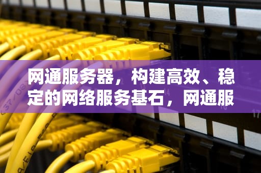 网通服务器，构建高效、稳定的网络服务基石，网通服务器在哪