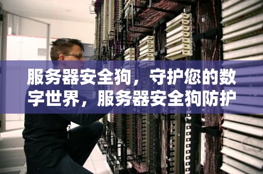 服务器安全狗，守护您的数字世界，服务器安全狗防护验证页面