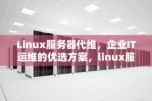 Linux服务器代维，企业IT运维的优选方案，linux服务器代理