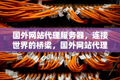 国外网站代理服务器，连接世界的桥梁，国外网站代理服务器地址