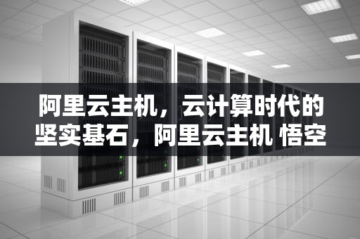 阿里云主机，云计算时代的坚实基石，阿里云主机 悟空