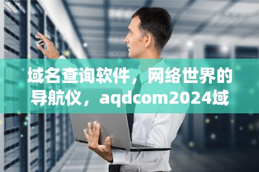 域名查询软件，网络世界的导航仪，aqdcom2024域名查询软件