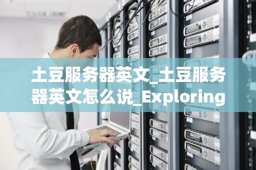 土豆服务器英文_土豆服务器英文怎么说_Exploring the World of Potato Servers: An Insight into Their Functionality and Applications